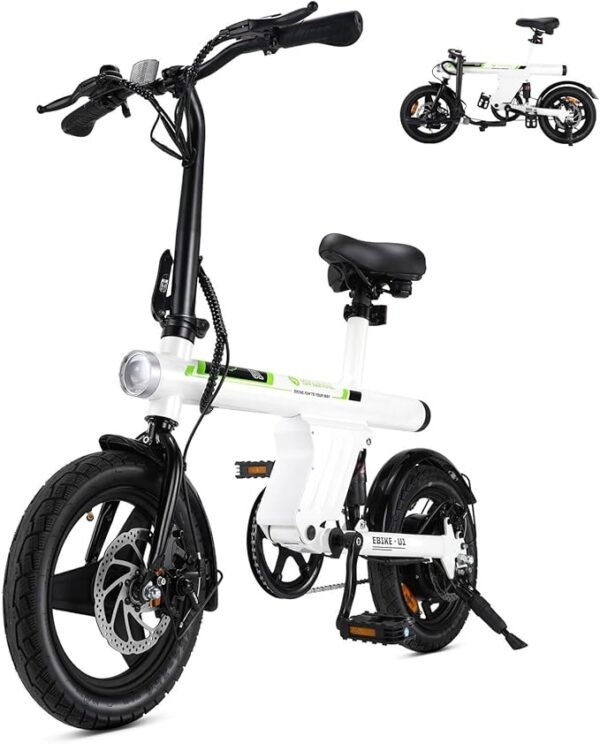 Electric Bike for Adults